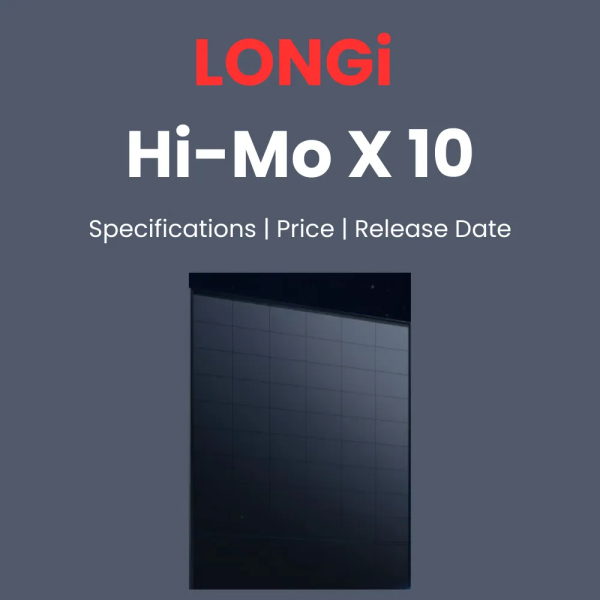 LONGI HIMO X 10