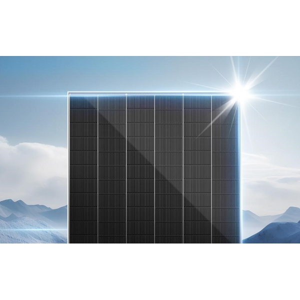 Trina Solar Vertex N-Type i-TOPCon Bifacial Dual Glass Monocrystalline Module - Image 3